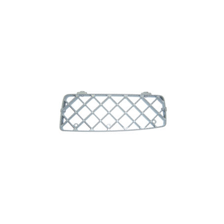 Grille De Marchepied Supérieure Pour SCANIA R