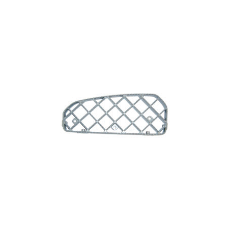 Grille De Marchepied Inférieure Pour SCANIA R