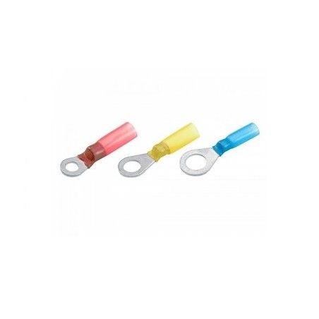 Demi-ligne homologuée silencieux Indy Race ARROW CBR600RR 2024-2025 - PAM RACING