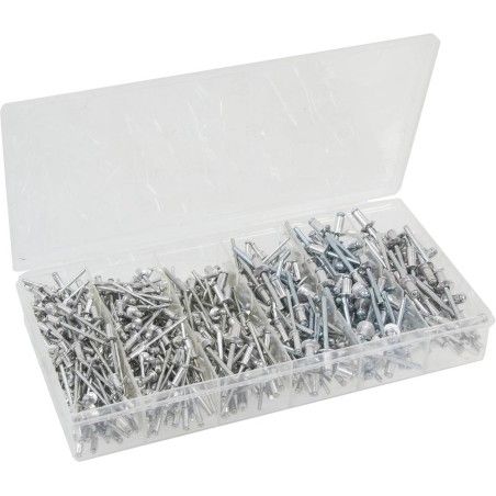 Assortiment 500 rivets