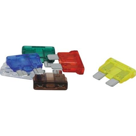 Lot de 6 fusibles enfichables standard