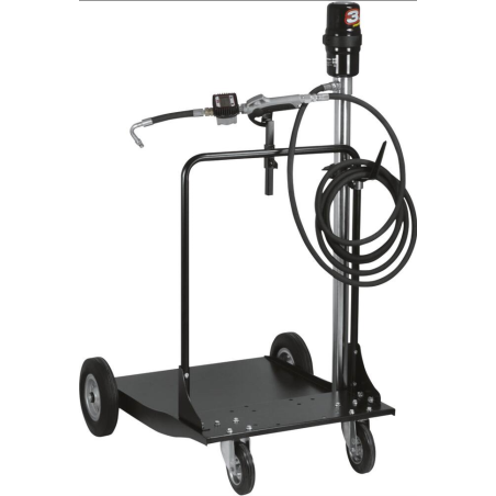 Ensemble pneumatique huile 180-220kg avec pistolet digital et chariot