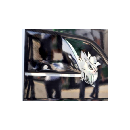 Contour de poignée (marquage Griffon) pour SCANIA SÉRIE R2018 et S