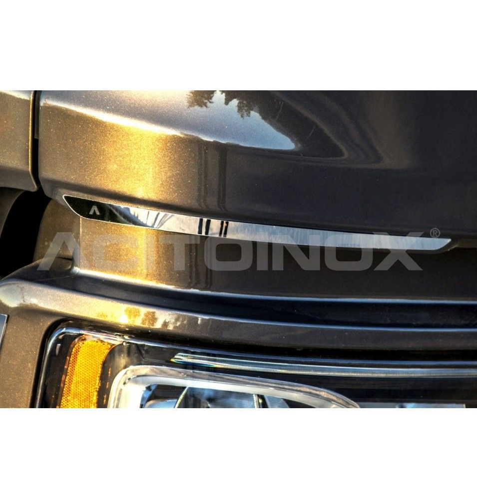 Habillage inox latéral ACITOINOX pour SCANIA NEW GENERATION S