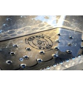 Habillage inox marche pied personnalisable ACITOINOX pour SCANIA NG S