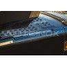 Habillage inox marches carénage ACITOINOX pour SCANIA NEW R/S