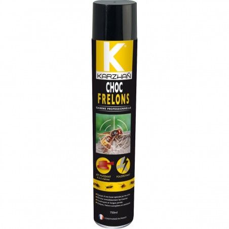 Insecticide CHOC Frelons KARZHAN
