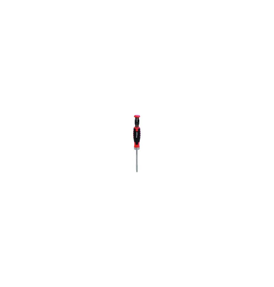 Tournevis à cliquet professionnel multi embouts DRAKKAR