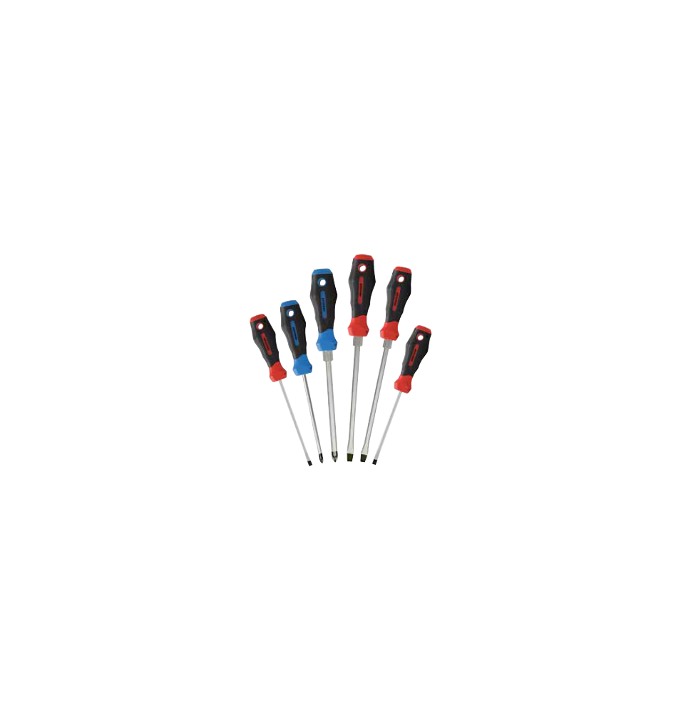 Lot de 6 tournevis classiques DRAKKAR